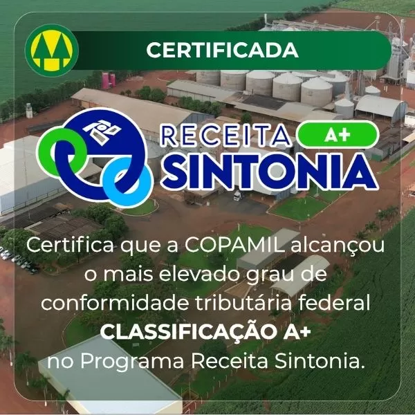 Certificação Sintonia A+